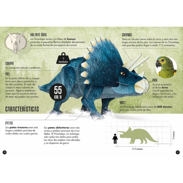 Cuy Games - TRICERATOPS 3D - LIBRO + MAQUETA -