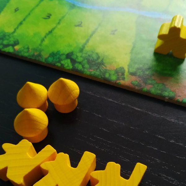 Cuy Games - CARCASSONNE CAZADORES Y RECOLECTORES -